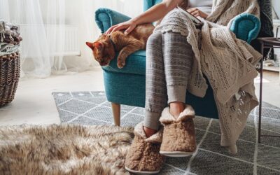 Choosing the Perfect Home Furnace for a Cozy Winter